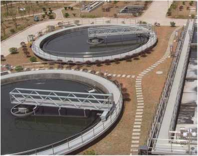 ZBXN型週邊傳(chuan)動半橋(qiao)虹(hong)吸(xi)式(shi)吸泥機